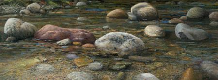 Liquid Light by William Shepherd - Auction record, sale price, and art valuation. Compare with similar artists and explore comparable artworks.