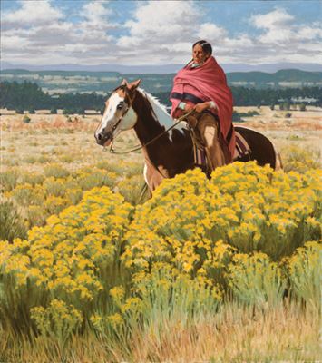The Colors of New Mexico
