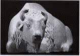 Sample artwork by Doug Hyde (Born 1946), known for native american sculpture - View similar artists and auction records
