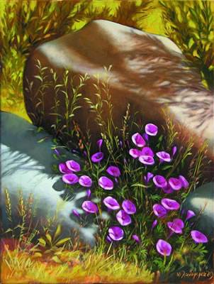 Stones, roots and rose flowers