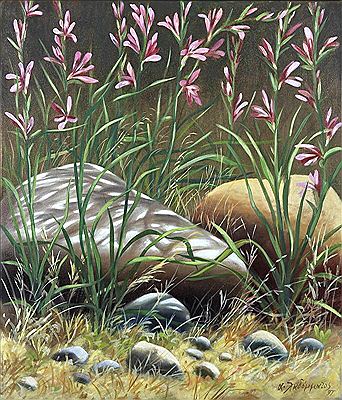 Flowers and two stones on a brown background