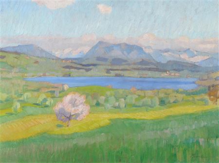 Frühling am Baldeggersee