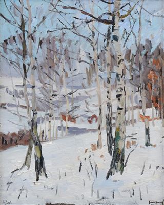 Birken im Schnee