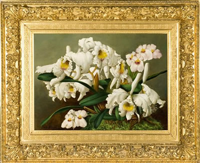 "Orchids from Nature"