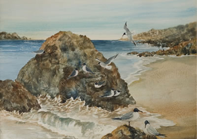 Beach scene with seagulls.