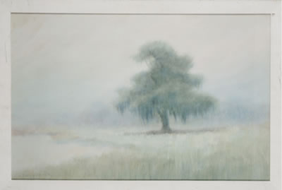Moss-draped live oak in a field