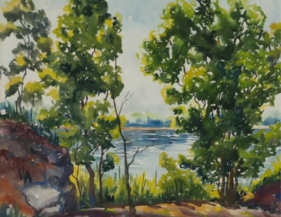 Forest and water scene