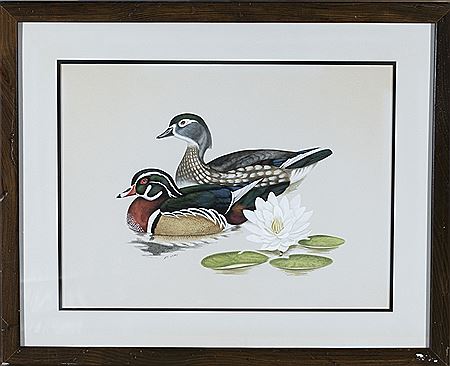 Two ducks in water next to lilly pad