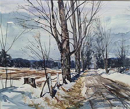 Bridle Trail in Winter