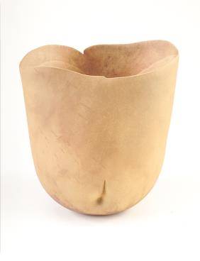 Torso