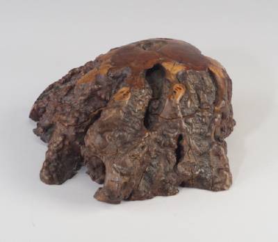 Untitled (box) by Jeffrey Seaton - Auction record, sale price, and art valuation. Compare with similar artists and explore comparable artworks.