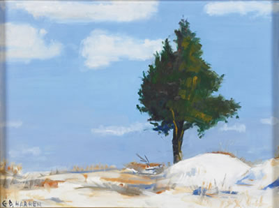 SIENNA GRASS by Glenn Harren - Auction record, sale price, and art valuation. Compare with similar artists and explore comparable artworks.