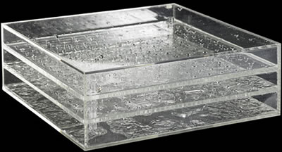 Dripper, 1968