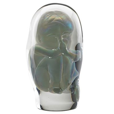 "Embryo"