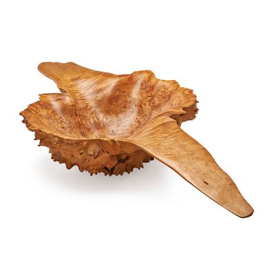 Big Leaf Maple Burl