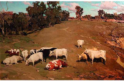 Vaches dans un pré