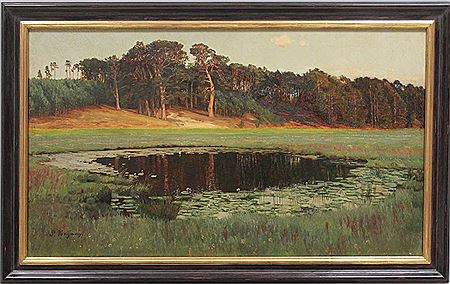 Märkischer Teich mit Seerosen, im Hintergrund Kiefern auf Anhöhe