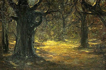 Mondnacht im Wald