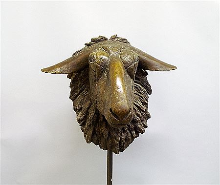 "Large Sheeps Head"