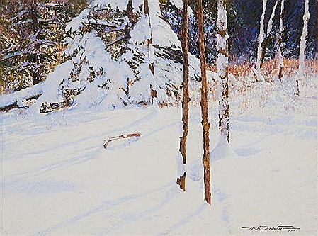 Snow Laden Branches by Neil Drevitson - Auction record, sale price, and art valuation. Compare with similar artists and explore comparable artworks.