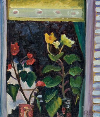 PLANTS ON A WINDOWSILL