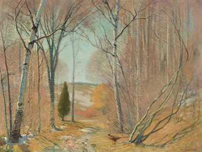 PHEASANT AMONG THE TREES