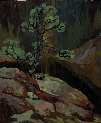 THE STUNTED PINE