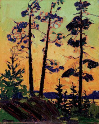 PINE TREES AT SUNSET