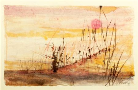 Marais et soleil