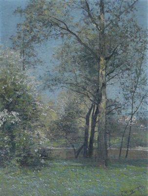 Parklandschaft im Frühling