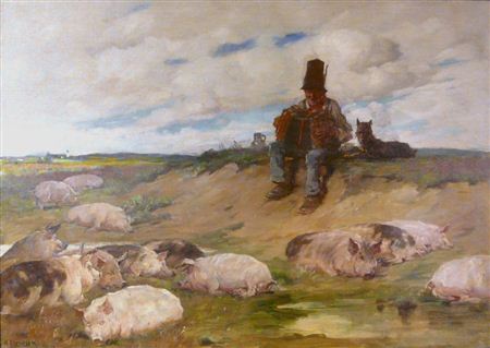 Siesta der Schweineherde