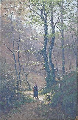 Wald im Frühling