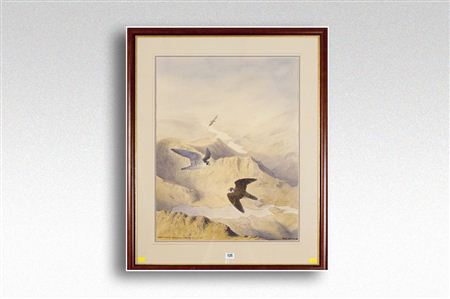 Adult and Juvenile Peregrines - Snowdon from the South