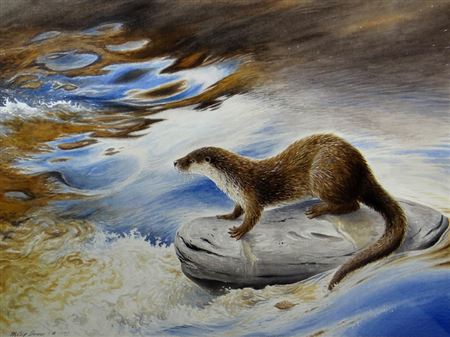 Study of an otter upon a rock