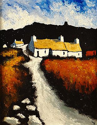 Cottages in Anglesey landscape