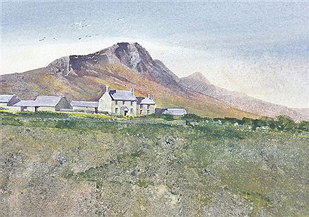Farmstead near St David's, Treledydd Fawr
