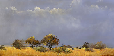 Waterbuck in landscape