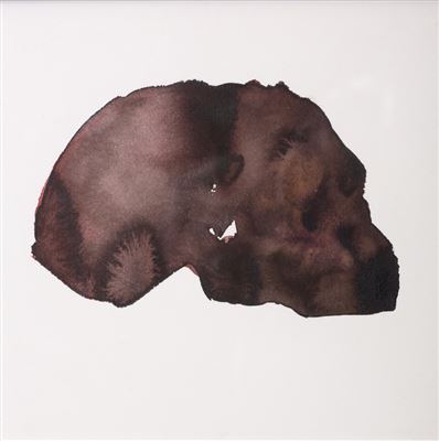 Skull, Taung series