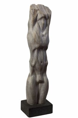 Male torso