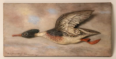 Shell Drake Duck by James Walter Folger - Auction record, sale price, and art valuation. Compare with similar artists and explore comparable artworks.