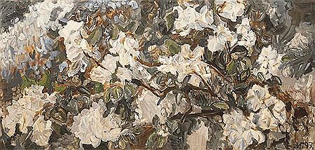 Apple tree blossom