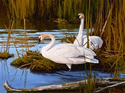 Mates for Life by David Charles Wade - Auction record, sale price, and art valuation. Compare with similar artists and explore comparable artworks.