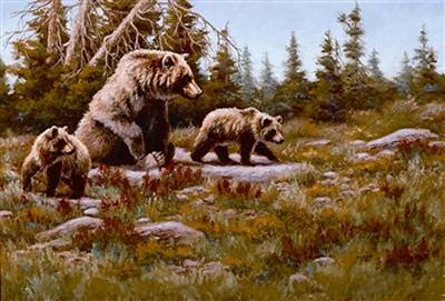 Bear Pause