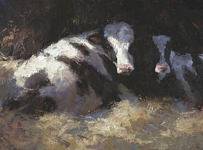 Cows in Straw