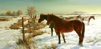 Montana Morning