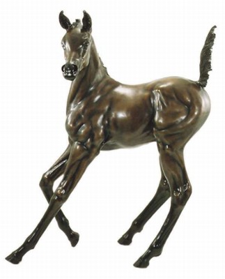 Arab Colt