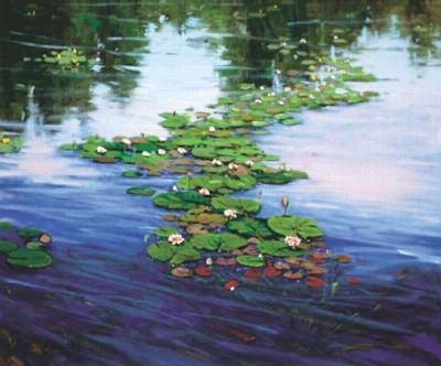 Lily Pond in Evening Light
