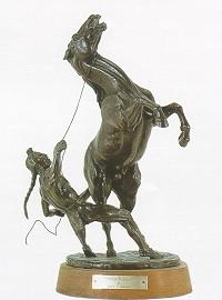 Horse Capture