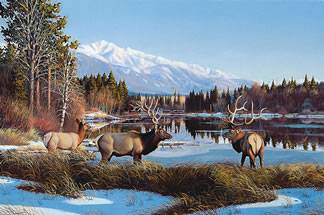 Glacier Park