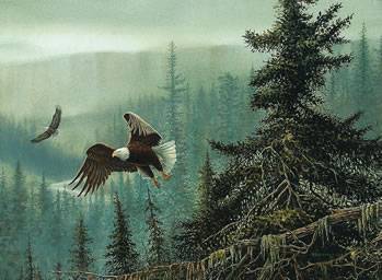 Northwest Passage-Eagles
